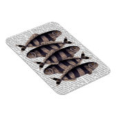 Magnet Flexible Cinq poissons triés (Côté Droit)