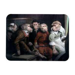 Magnet Flexible Cinq singes fantaisistes