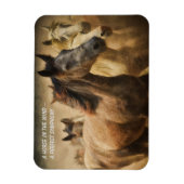 Magnet Flexible Citation À Propos De L'Aimant Réfrigérateur Chevau (Vertical)