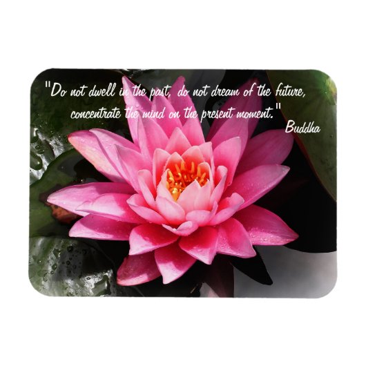 Magnet Flexible Citations de bouddha et fleurs de lotus / Méditati (Horizontal)