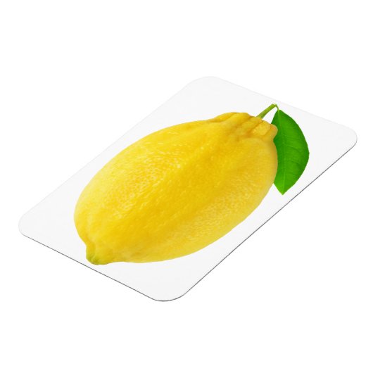 Magnet Flexible Citron (Côté Gauche)
