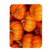 Magnet Flexible Citrouille (Vertical)