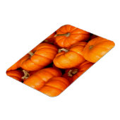 Magnet Flexible Citrouille (Côté Gauche)
