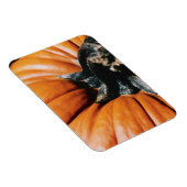 Magnet Flexible Citrouille (Côté Droit)
