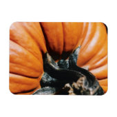 Magnet Flexible Citrouille (Horizontal)