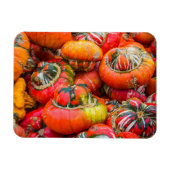 Magnet Flexible Citrouille coloré (Horizontal)