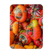 Magnet Flexible Citrouille coloré (Vertical)