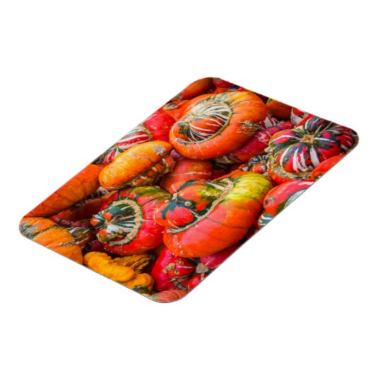 Magnet Flexible Citrouille coloré (Côté Gauche)