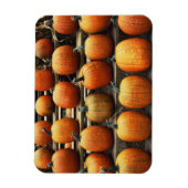 Magnet Flexible Citrouilles d'automne (Vertical)