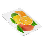 Magnet Flexible Citrus fruits (Côté Droit)