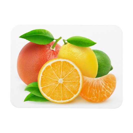 Magnet Flexible Citrus fruits (Horizontal)