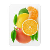 Magnet Flexible Citrus fruits (Vertical)
