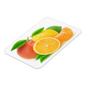 Magnet Flexible Citrus fruits (Côté Gauche)