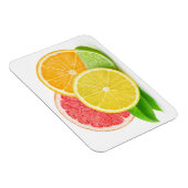 Magnet Flexible Citrus fruits (Côté Droit)