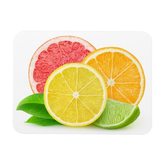 Magnet Flexible Citrus fruits (Horizontal)