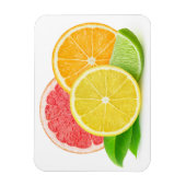 Magnet Flexible Citrus fruits (Vertical)