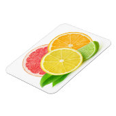 Magnet Flexible Citrus fruits (Côté Gauche)