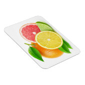 Magnet Flexible Citrus fruits (Côté Droit)