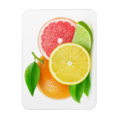 Magnet Flexible Citrus fruits (Vertical)