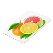 Magnet Flexible Citrus fruits (Côté Gauche)