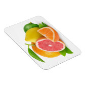 Magnet Flexible Citrus fruits (Côté Droit)