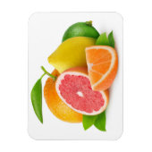 Magnet Flexible Citrus fruits (Vertical)