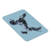 Magnet Flexible Classe Sheer 2013 (Côté Droit)