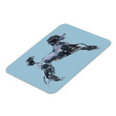 Magnet Flexible Classe Sheer 2013 (Côté Gauche)