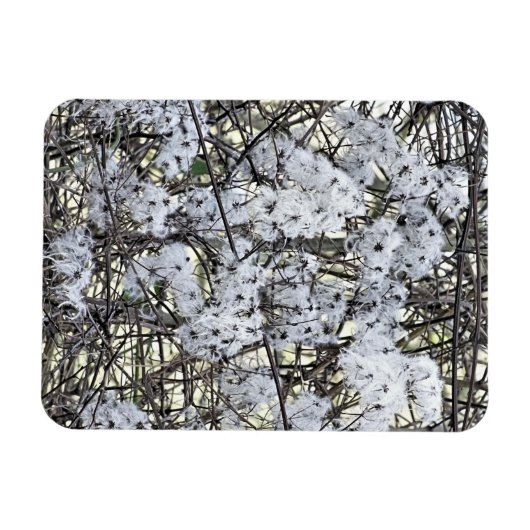 MAGNET FLEXIBLE CLEMATIS (Horizontal)