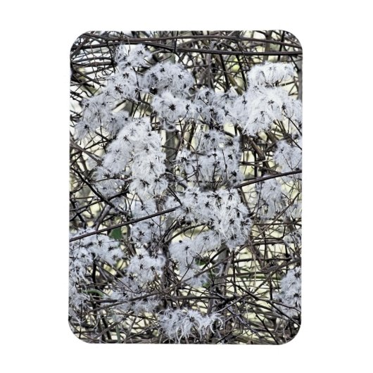 MAGNET FLEXIBLE CLEMATIS (Vertical)