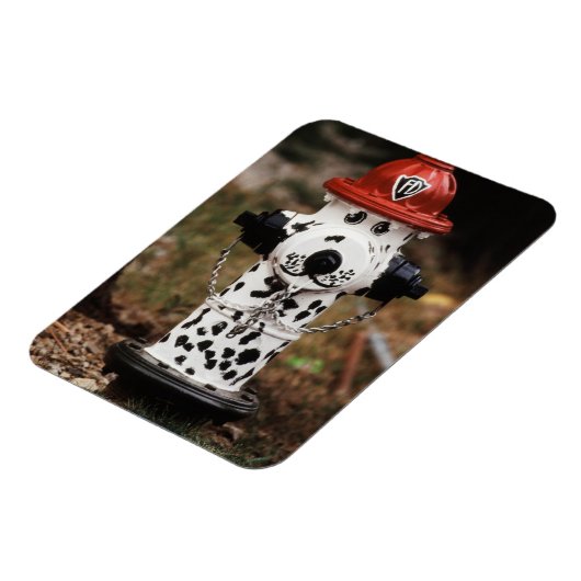 Magnet Flexible Close-up of Fire Hydrant (Côté Gauche)