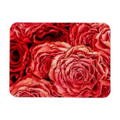 Magnet Flexible Closeup de Red Roses (Horizontal)