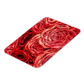 Magnet Flexible Closeup de Red Roses (Côté Gauche)