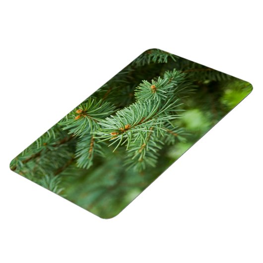 Magnet Flexible Closeuse de pin (Côté Gauche)