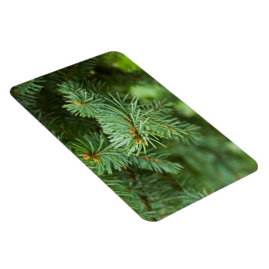 Magnet Flexible Closeuse de pin (Côté Droit)