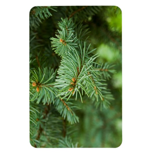 Magnet Flexible Closeuse de pin (Vertical)