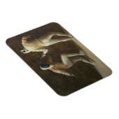 Magnet Flexible Clôture (Côté Droit)