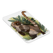 Magnet Flexible Coatamundi ou Coati noir blanc (Côté Droit)