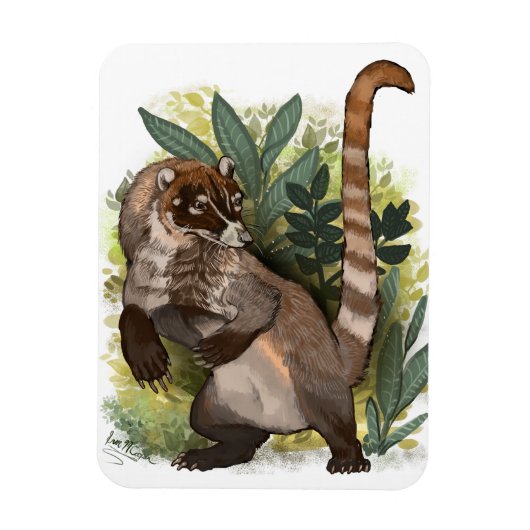 Magnet Flexible Coatamundi ou Coati noir blanc (Vertical)