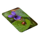 Magnet Flexible Coccinelle sur fleurs de violettes odorantes (Côté Droit)