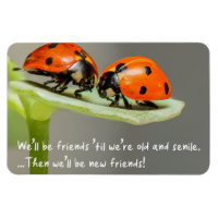Coccinelle Vieille et Sénile Nouveaux Amis Drôle M