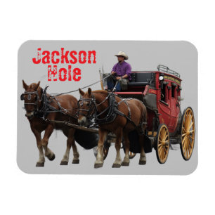 Magnet Flexible Coche de Jackson Hole Wyoming
