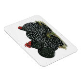 Magnet Flexible Cochin Mottled (Côté Droit)