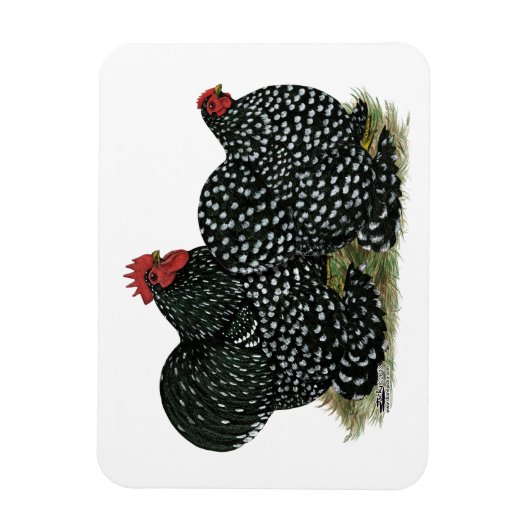 Magnet Flexible Cochin Mottled (Vertical)