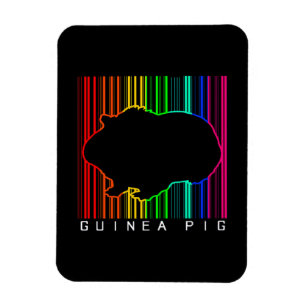Magnet Flexible Cochon de Guinée coloré Mignonne Guinée Lover