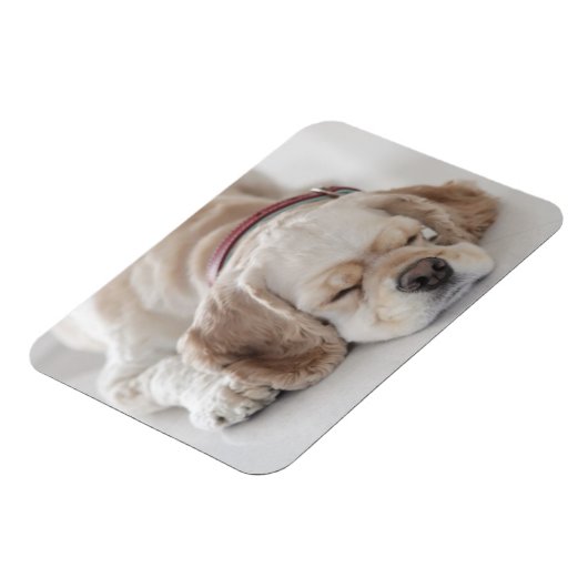 Magnet Flexible Cocker spaniel chien dormir (Côté Gauche)