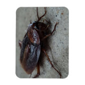 Magnet Flexible Cockroach (Vertical)