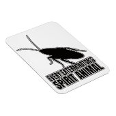 Magnet Flexible Cockroaches Cockroach Roach - Geek d'entomologie (Côté Droit)