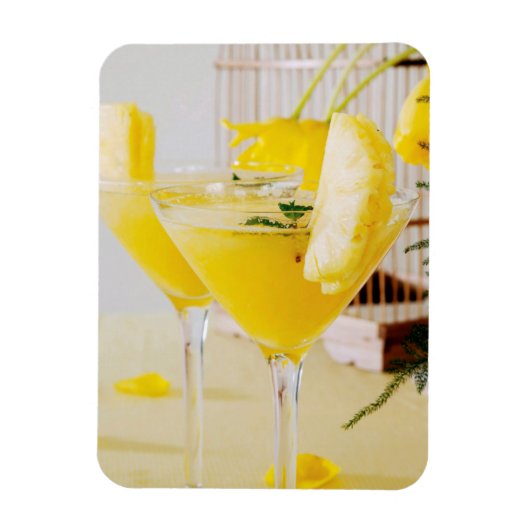 Magnet Flexible Cocktail de Fresca à l'ananas et au gingembre (Vertical)