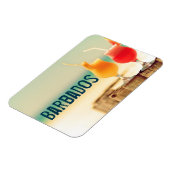 Magnet Flexible Cocktails barbadiens (Côté Gauche)